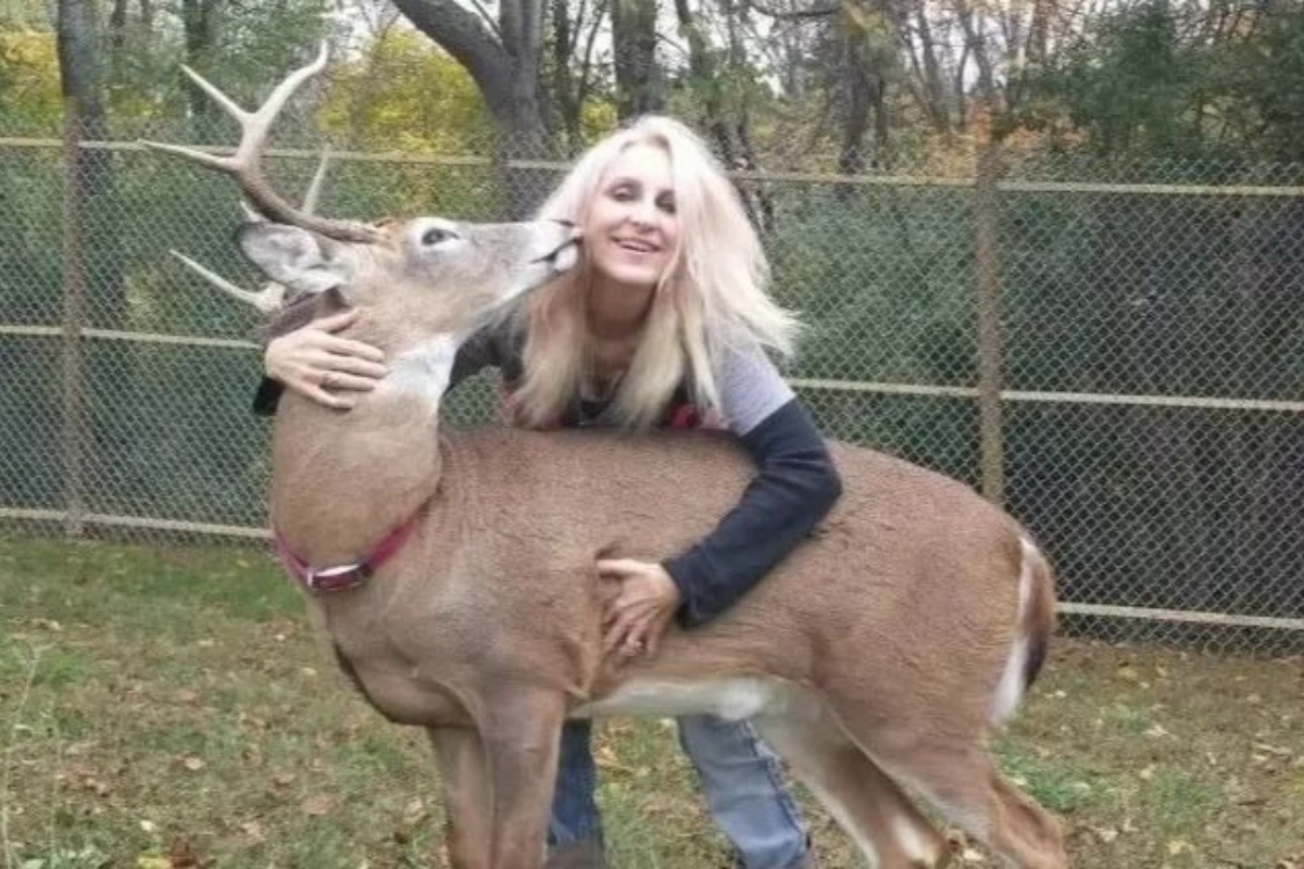 Τραγικός θάνατος 64χρονης: Της επιτέθηκε ελάφι που φρόντιζε επί χρόνια - Η γυναίκα ήταν γνωστή φιλόζωος και διατηρούσε στη φάρμα της πολλά ελάφια