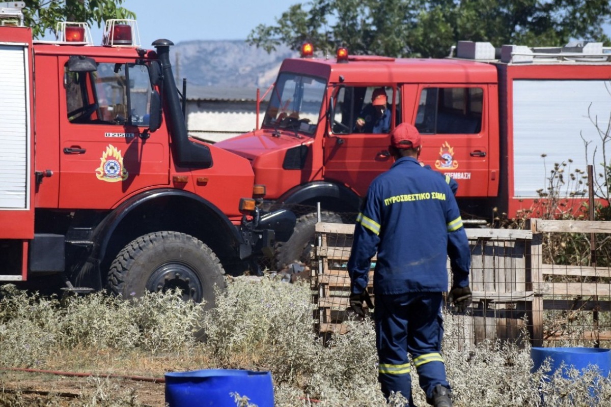Φωτιά στο Κουνούπι Αργολίδας: Στη «μάχη» 44 πυροσβέστες, έξι εναέρια - «Ήχησε» το 112 για ετοιμότητα - Σύμφωνα με την Πυροσβεστική, στη «μάχη» για την κατάσβεση της φωτιάς βρίσκονται 44 πυροσβέστες με δύο ομάδες πεζοπόρων της 9ης ΕΜΟΔΕ, 14 οχήματα, τέσσ