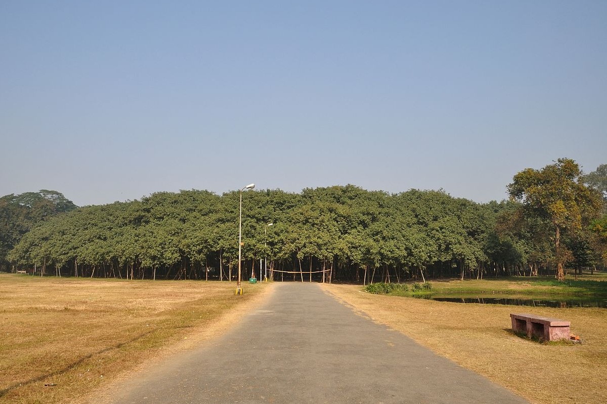 The Great Banyan: Το δέντρο που είναι από μόνο του δάσος