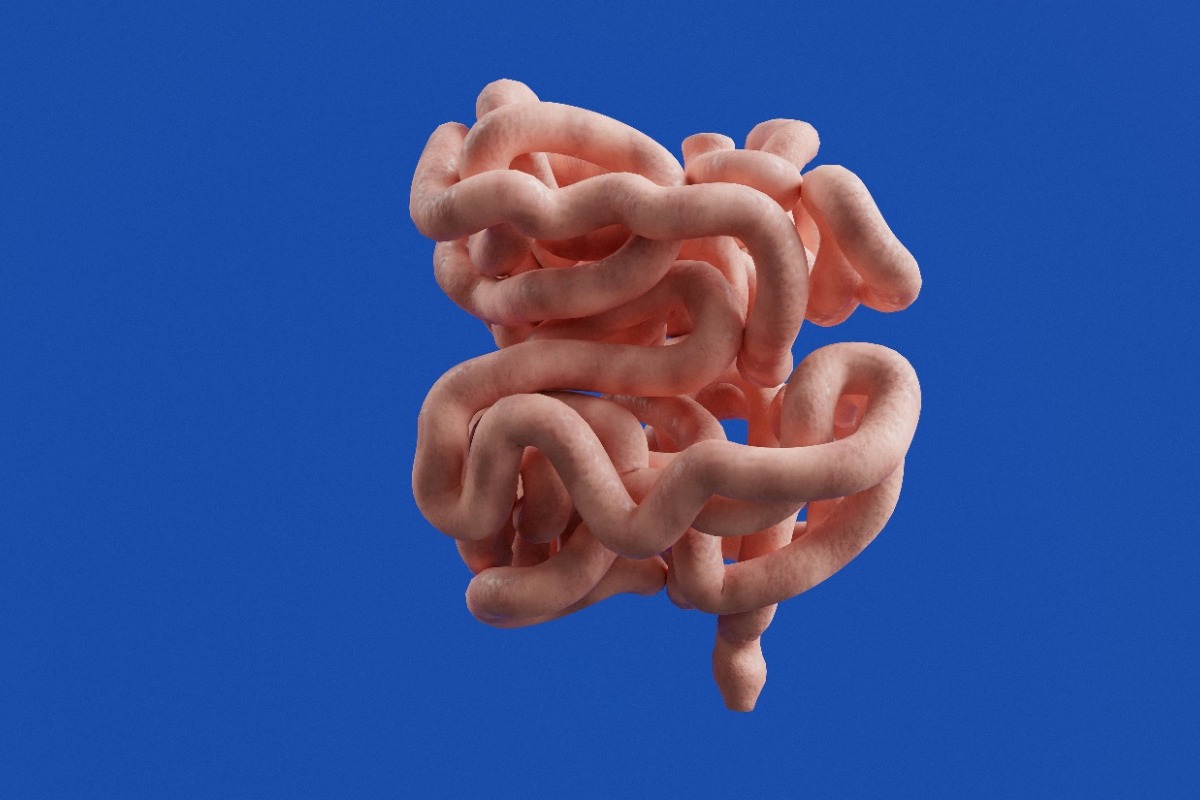 Το έντερο «μιλάει»: Τα 6 σημάδια που προειδοποιούν ότι κάτι δεν πάει καλά - και πώς να το διορθώσετε