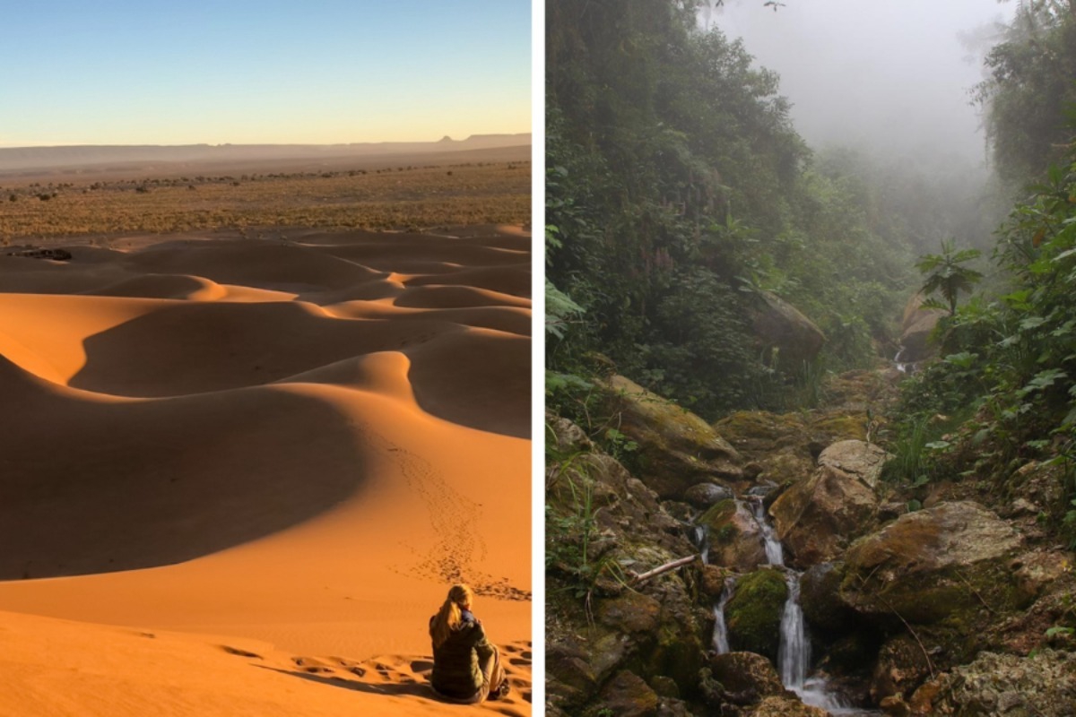 Η αόρατη γέφυρα από την Αφρική που κρατά ζωντανό τον Αμαζόνιο