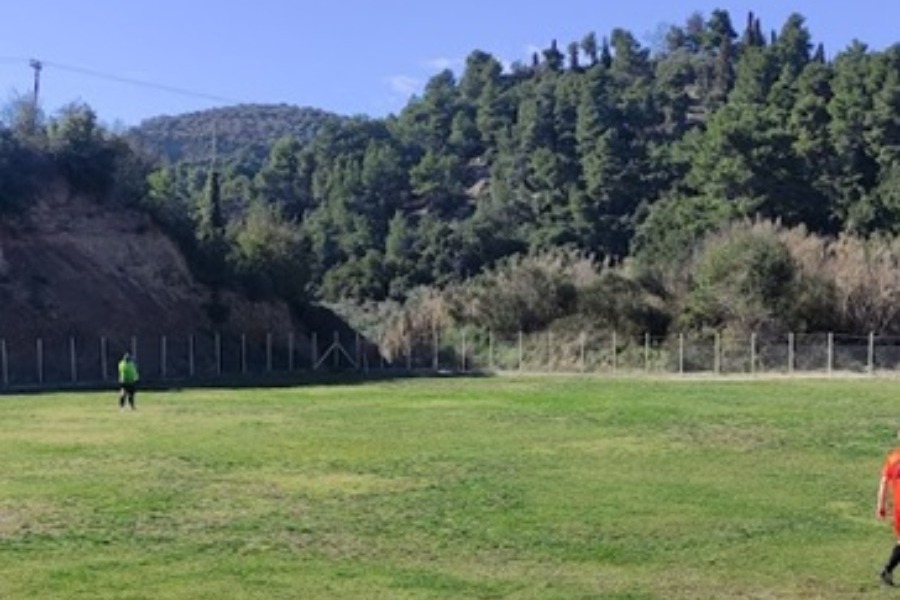 Ηλεία: Αγριο ξύλο σε τοπικό αγώνα