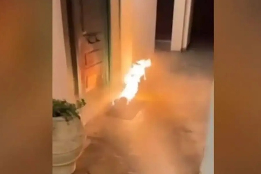 Βάρκιζα: Επίθεση με γκαζάκια στο εξοχικό της Ελίζας Βόζεμπεργκ