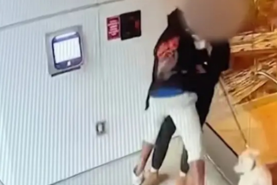 Τρόμος για γυναίκα στο Λος Αντζελες: Κάμερα κατέγραψε τη σeξουαλική επίθεση που δέχθηκε ενώ έβγαζε βόλτα τον σκύλο