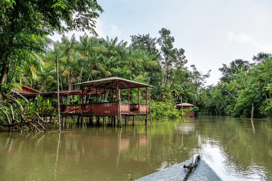 Τραγωδία στη Βραζιλία: Κοριτσάκι 2 χρονών έπεσε σε λίμνη και το κατασπάραξαν τα πιράνχας - Στο σημείο όπου συνέβη το τραγικό συμβάν δεν υπήρχαν προστατευτικά κιγκλιδώματα