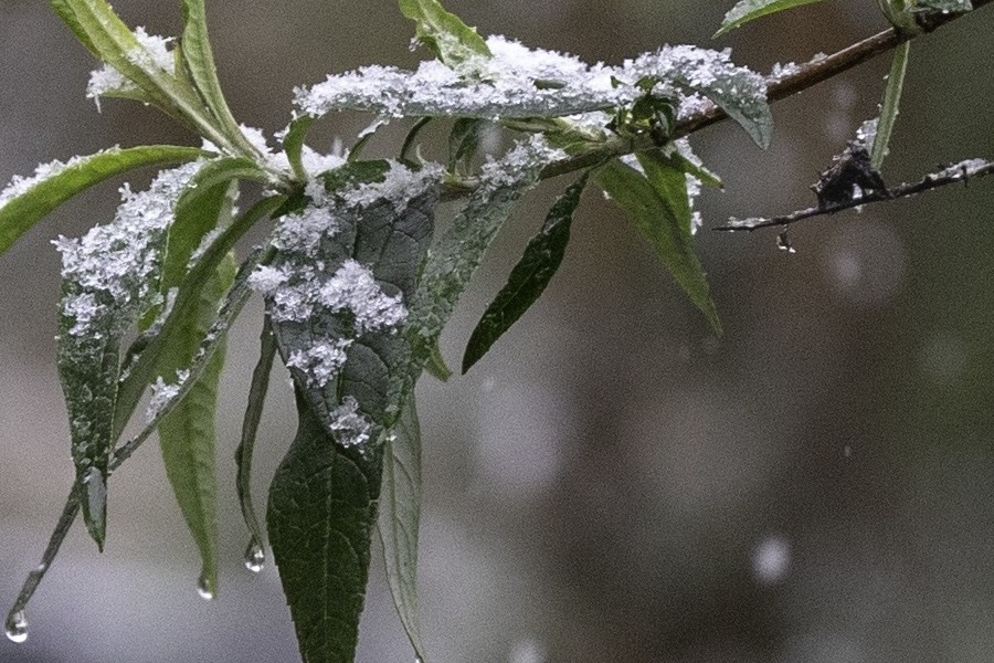 Νέο κύμα κακοκαιρίας πριν τις γιορτές – Οι προβλέψεις των μετεωρολόγων