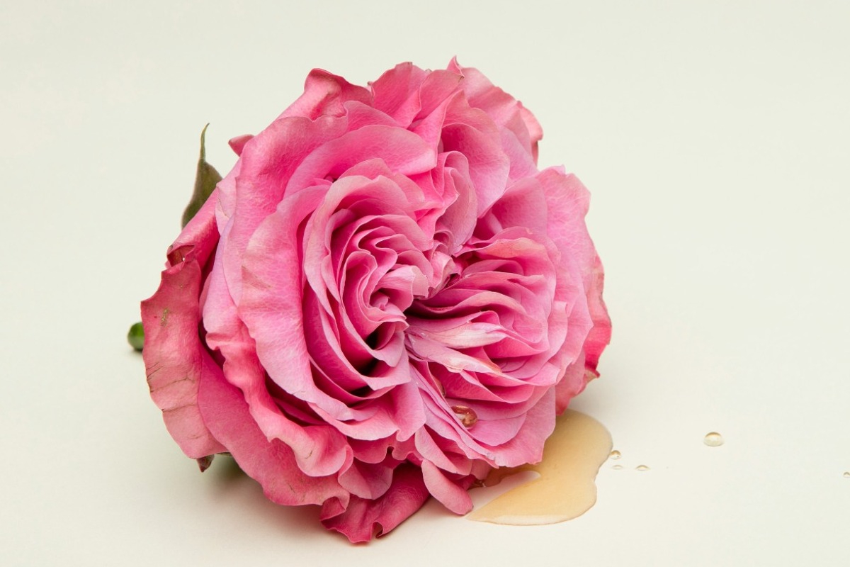 5 φυσικοί τρόποι να «ξυπνήσεις» την ωορρηξία σου και να ρυθμίσεις τον κύκλο σου – χωρίς φάρμακα