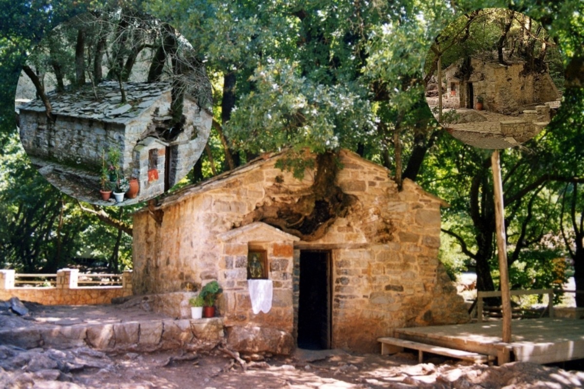 17 πλατάνια στη σκεπή της: Η ελληνική εκκλησία–θαύμα που μπήκε στο Guinness και δεν γκρεμίζεται με τίποτα
