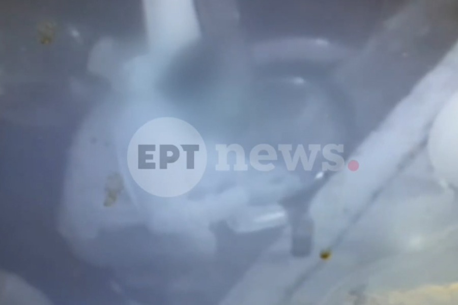 Επίθεση με πιρούνι στην έγκυο: Νέο βίντεο ντοκουμέντο δείχνει τον δράστη μεθυσμένο