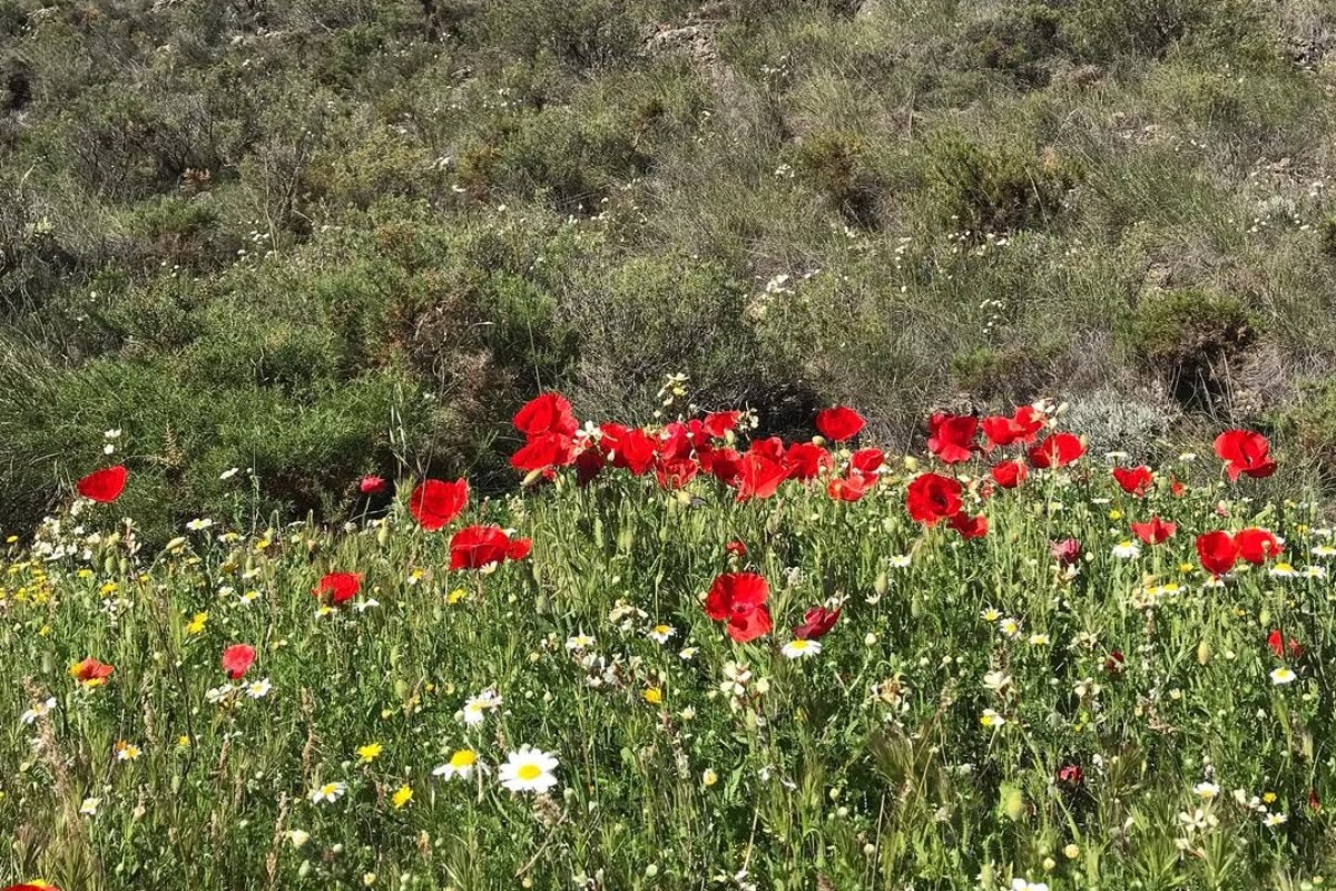Η ευρωπαϊκή πόλη που απαγορεύεται να πεθάνεις ... Σαββατοκύριακο!