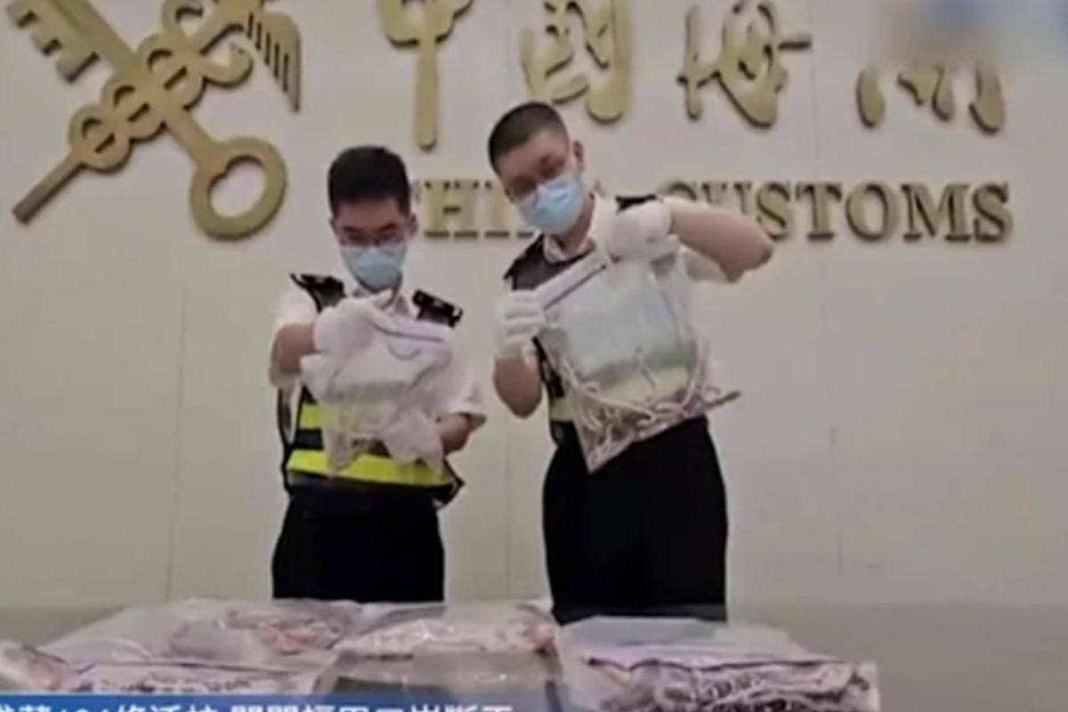 Ανδρας προσπάθησε να περάσει λαθραία 100 φίδια σε αεροδρόμιο κρυμμένα μέσα στο παντελόνι του