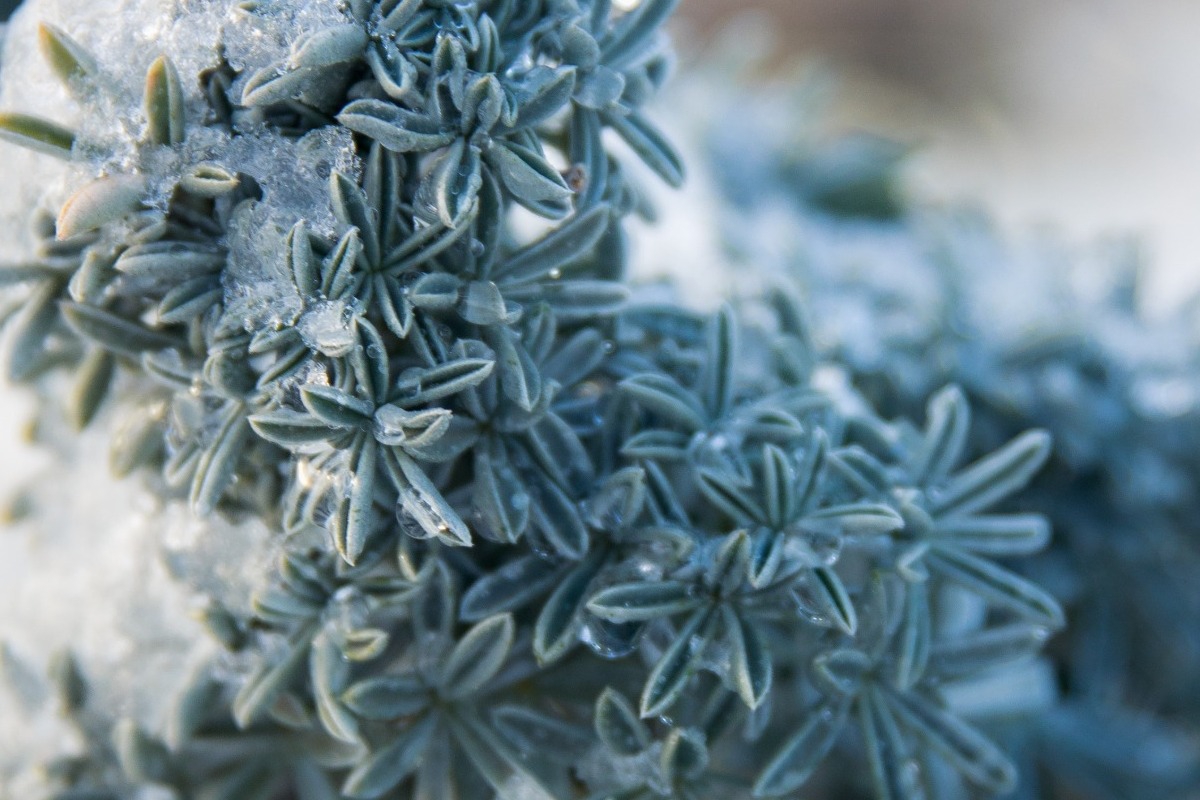 Καιρός ‑ Τσατραφύλλιας: «Σκληρό καρύδι ο αντικυκλώνας»
