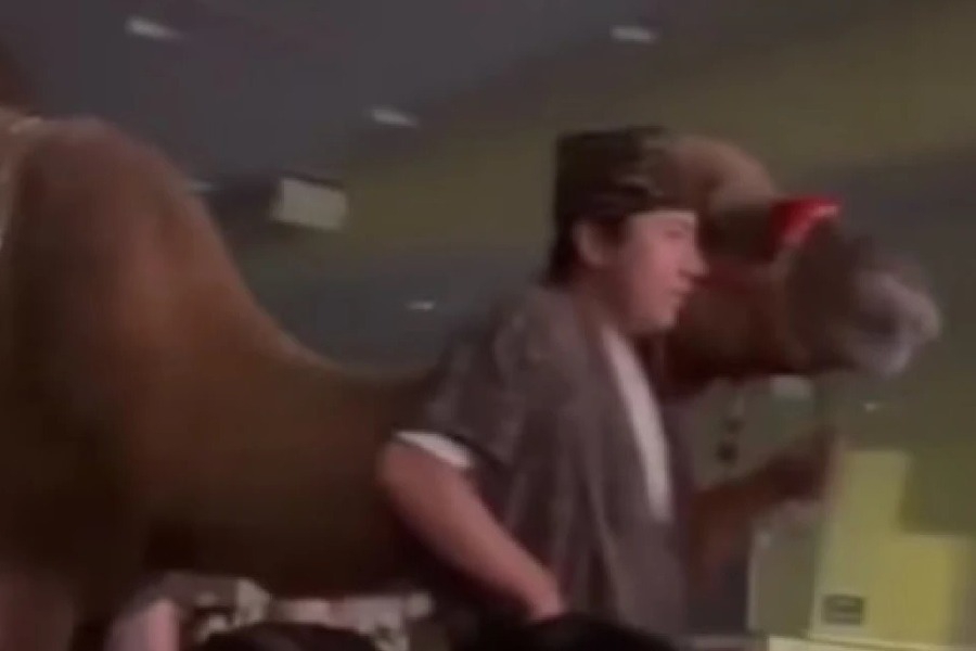 Καμήλα κλώτσησε γυναίκα θεατή σε χριστουγεννιάτικη παράσταση εκκλησίας στο Χιούστον, δείτε βίντεο