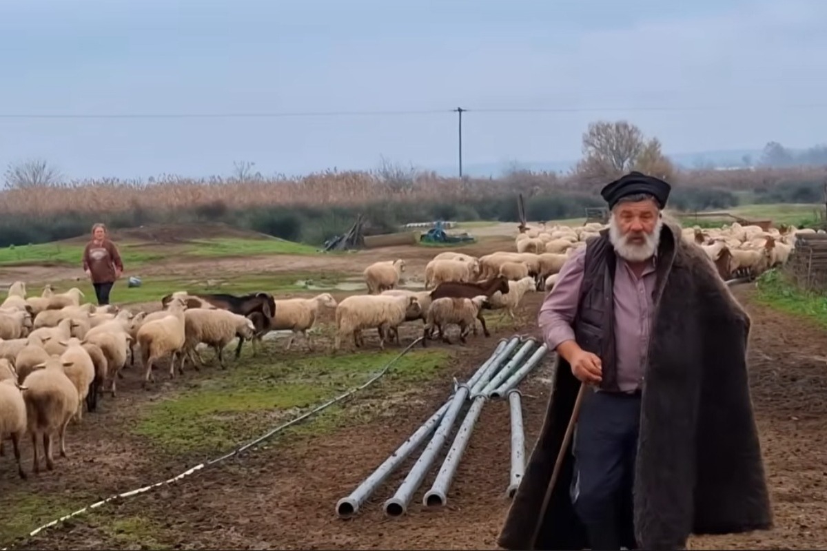 Πήρε εξιτήριο ο κτηνοτρόφος που κατέρρευσε – «Πέρασε εγκεφαλικό», αναφέρει η γυναίκα του - Αναρρώνει στο σπίτι του, κοντά στην οικογένειά του, ο κτηνοτρόφος που κατέρρευσε όταν είδε το κοπάδι του να θανατώνεται έπειτα από κρούσματα ευλογιάς 
