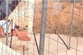 «Είχα οικονομικά προβλήματα για αυτό απέκρυψα τον θάνατό της» – Το σημείο που είχε θάψει τη μητέρα της η 62χρονη στη Βοιωτία