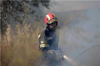 Φωτιά τώρα στη Βοιωτία ‑ Σηκώθηκαν και εναέρια μέσα