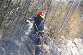 Συνελήφθη γυναίκα για εμπρησμό στη Μαγνησία