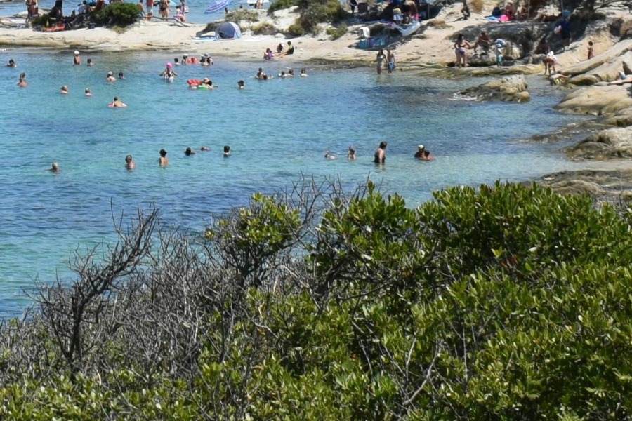 Σιθωνία: Κάηκαν 450 στρέμματα δασικής έκτασης
