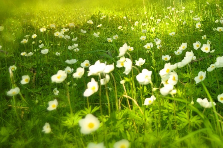 Καιρός Πάσχα: Από το τσουχτερό κρύο, στους 26 βαθμούς Κελσίου τη Μεγάλη Εβδομάδα