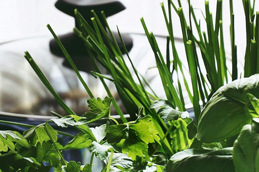 Το ταπεινό μυρωδικό που κρύβει μέσα του σοβαρή υπερδύναμη