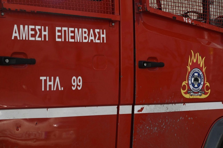 Φωτιά σε δασική έκταση στην Εύβοια – Επιχειρούν εναέρια μέσα