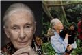 Πέθανε η Jane Goodall, η ανθρωπολόγος που έγινε φίλη με τους χιμπατζήδες