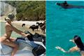 Παναγιώταρου και Αλεξανδράκη βρήκαν... γουρούνια στη θάλασσα