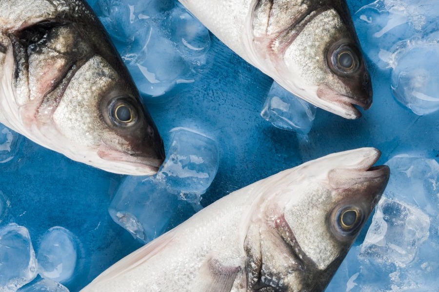 Ανατιμήσεις και στα ψάρια – Διαμαρτύρονται οι καταναλωτές – Πόσο κοστίζουν το κιλό