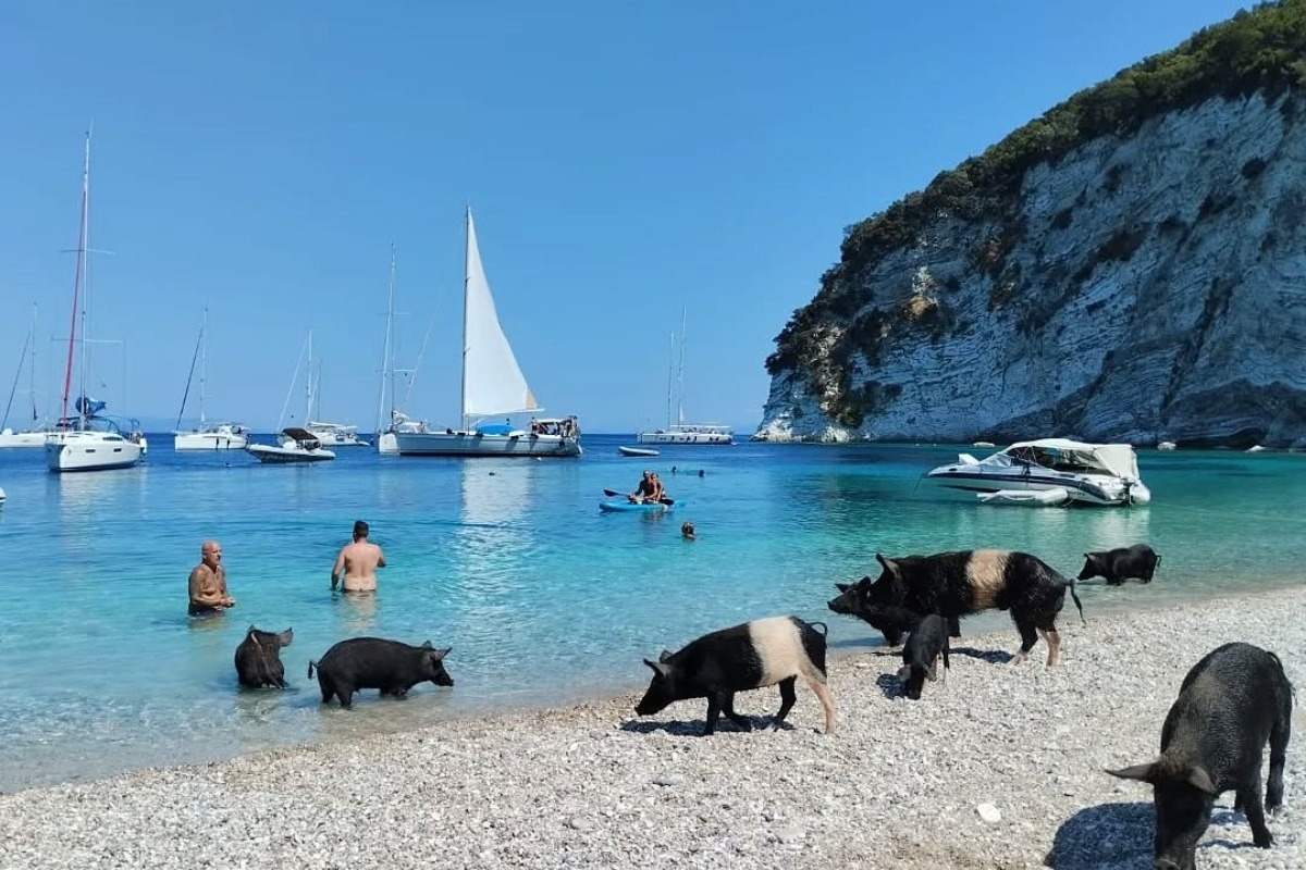 Ένα μυστικό νησί στην Ελλάδα που δεν έχει κατοίκους, μόνο… γουρουνάκια!