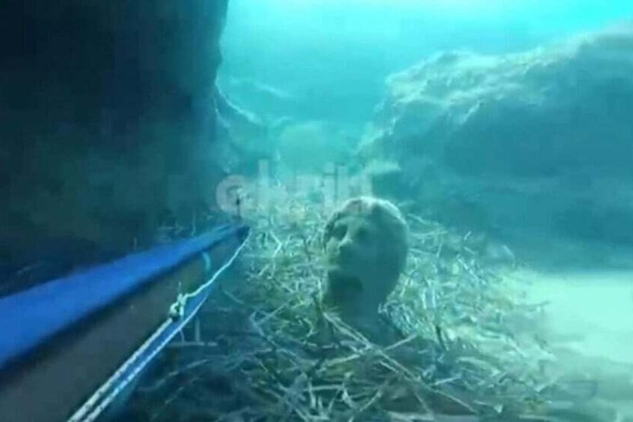 Ηράκλειο: Ψαροντουφεκάς εντόπισε ανθρώπινο άγαλμα στον βυθό