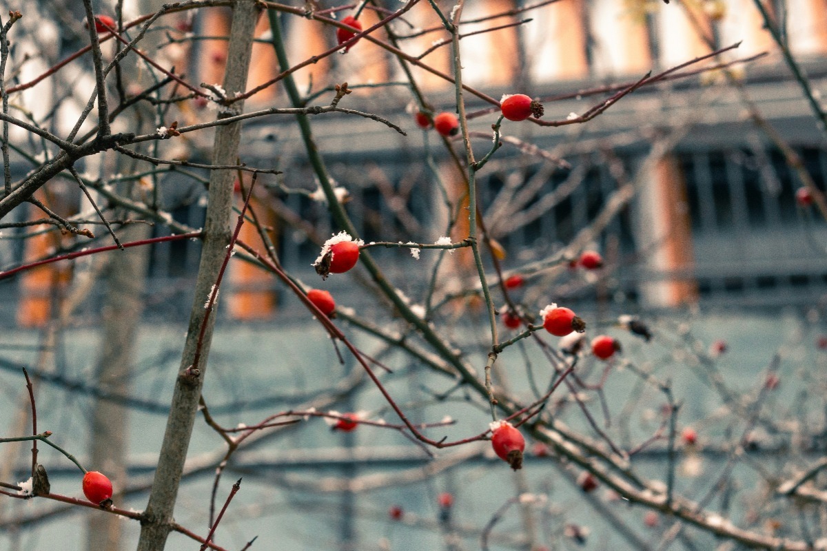 Ζώδια Εβδομάδας: Κλείσιμο κύκλων, εσωτερικές αποφάσεις και μικρές αλήθειες που αλλάζουν τα πάντα
