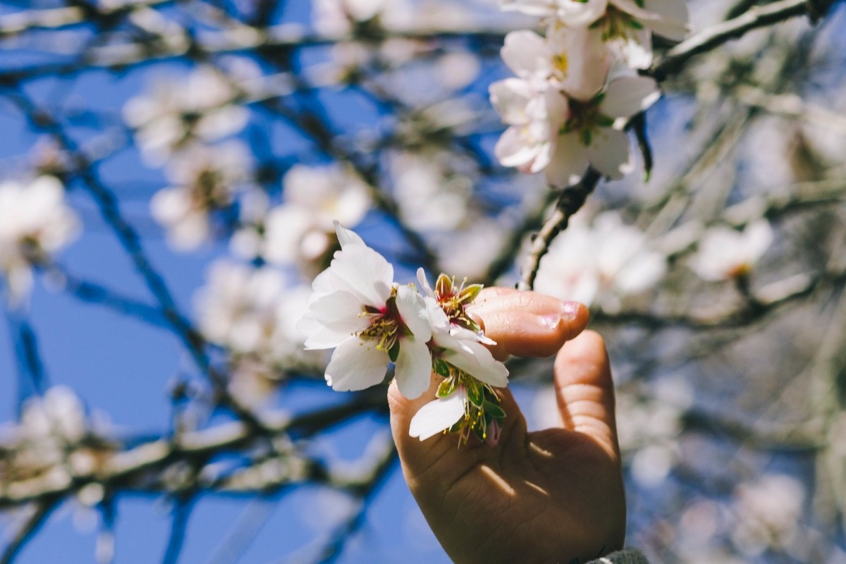 Ζώδια του Μήνα: Απρίλιος - Eρωτες, επιστροφές και ανατροπές
