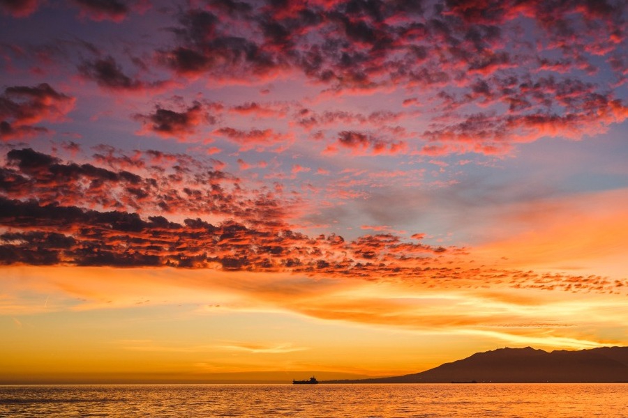 Τα ζώδια σήμερα 23/3: Μην ανοίγεις πολλά μέτωπα