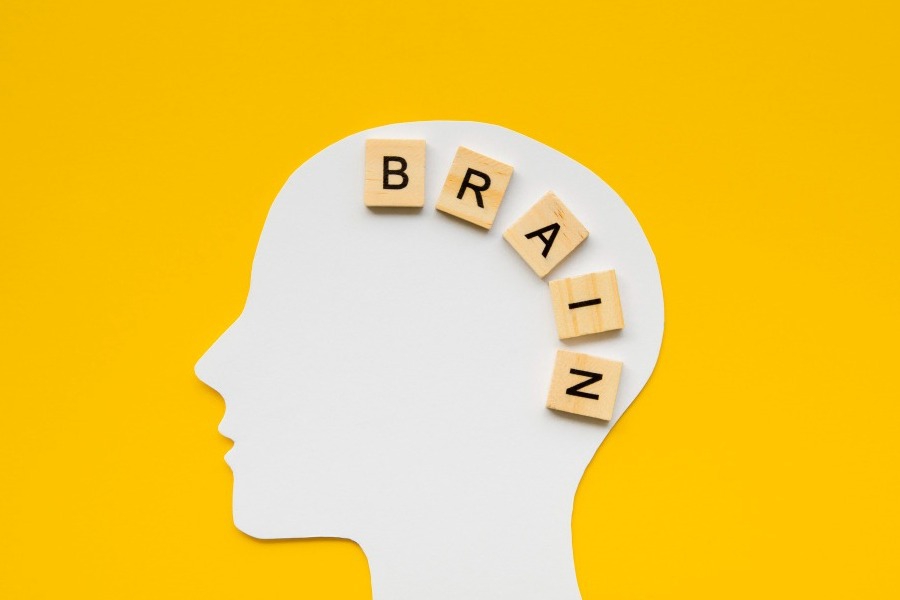 Μπορείς να αυξήσεις τη νοημοσύνη σου; Ναι, με αυτούς τους τρόπους