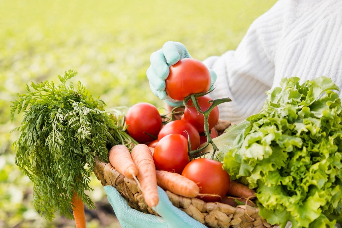 Στα Στενά του Ορμούζ «παίζεται» η επάρκεια τροφίμων σε όλο τον κόσμο – Αγώνας δρόμου για να φτάσουν λιπάσματα στους παραγωγούς