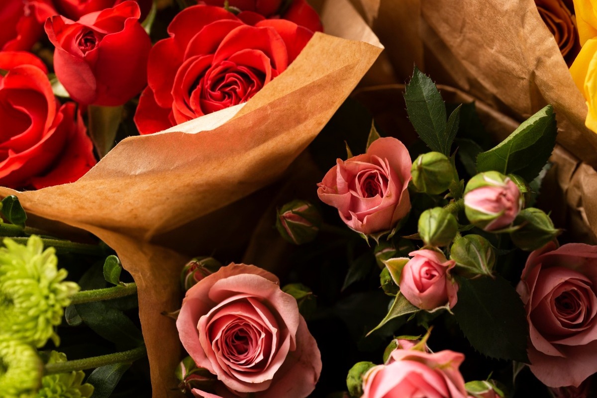 Αγιος Βαλεντίνος: Αν θες δώρο που θα μείνει (και δεν θα μαραθεί), αυτά τα φυτά είναι η απάντηση