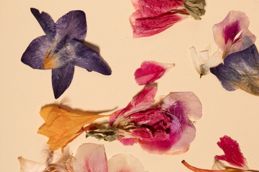 Τα ζώδια σήμερα 24/4: Μην κάνεις πίσω