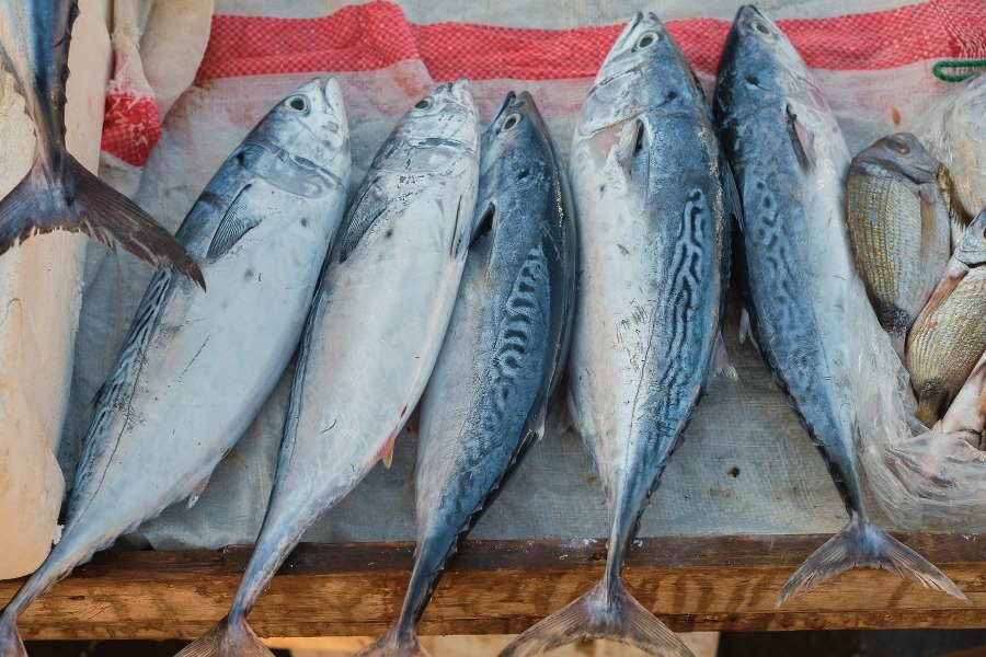 «Τσουχτερά» τα σαρακοστιανά: Έως και 30% ακριβότερα από πέρυσι