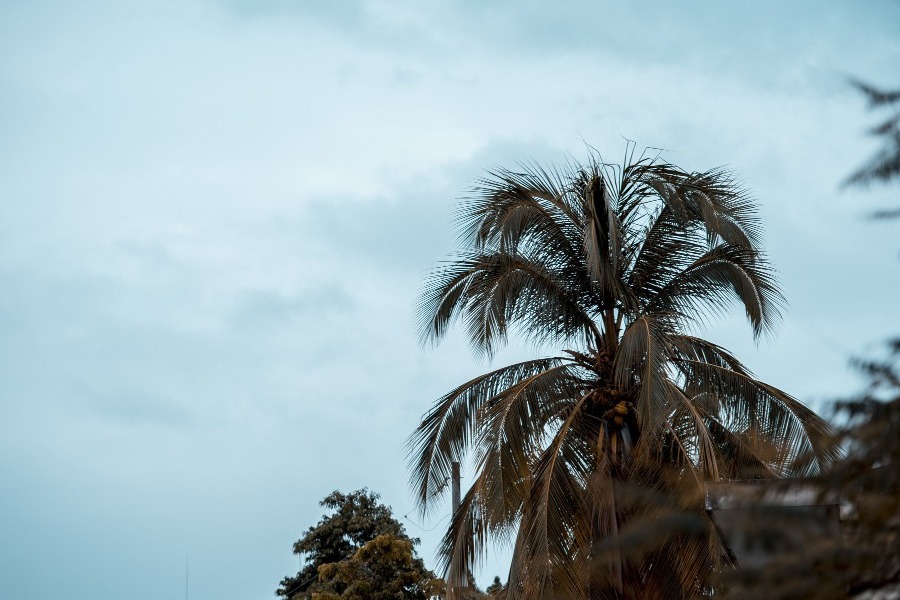 Ρεκόρ ελάχιστης θερμοκρασίας στην Κούβα