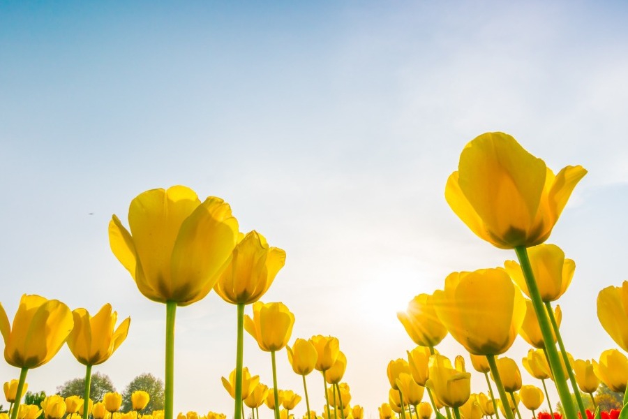 Τα ζώδια σήμερα 11/3: Ποιο ζώδιο πρέπει να ακούσει το ένστικτό του