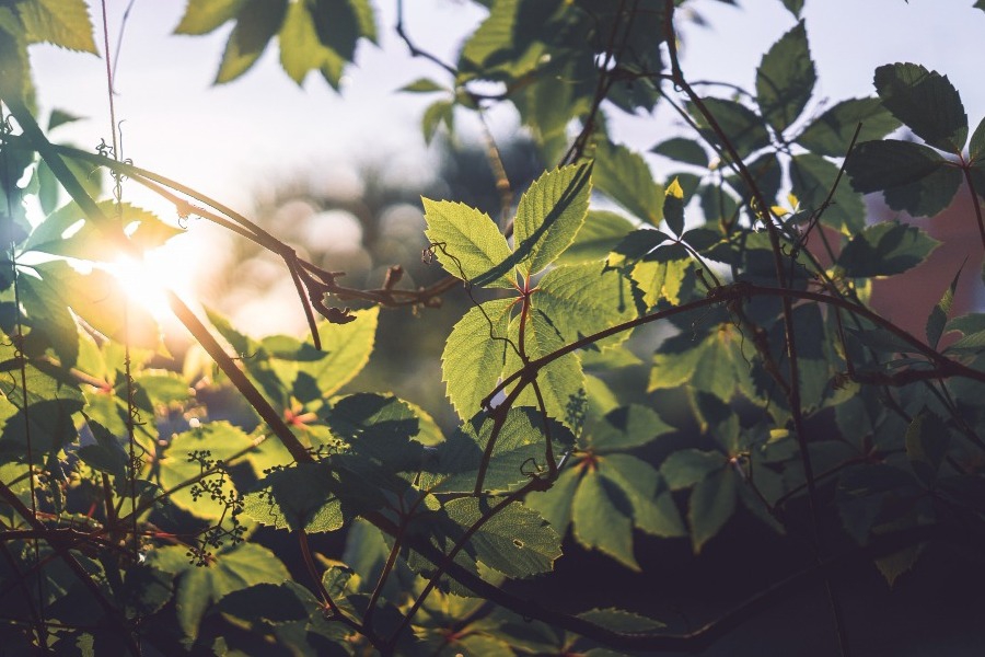 Τα ζώδια σήμερα 26/3: Τι θέλεις πραγματικά;