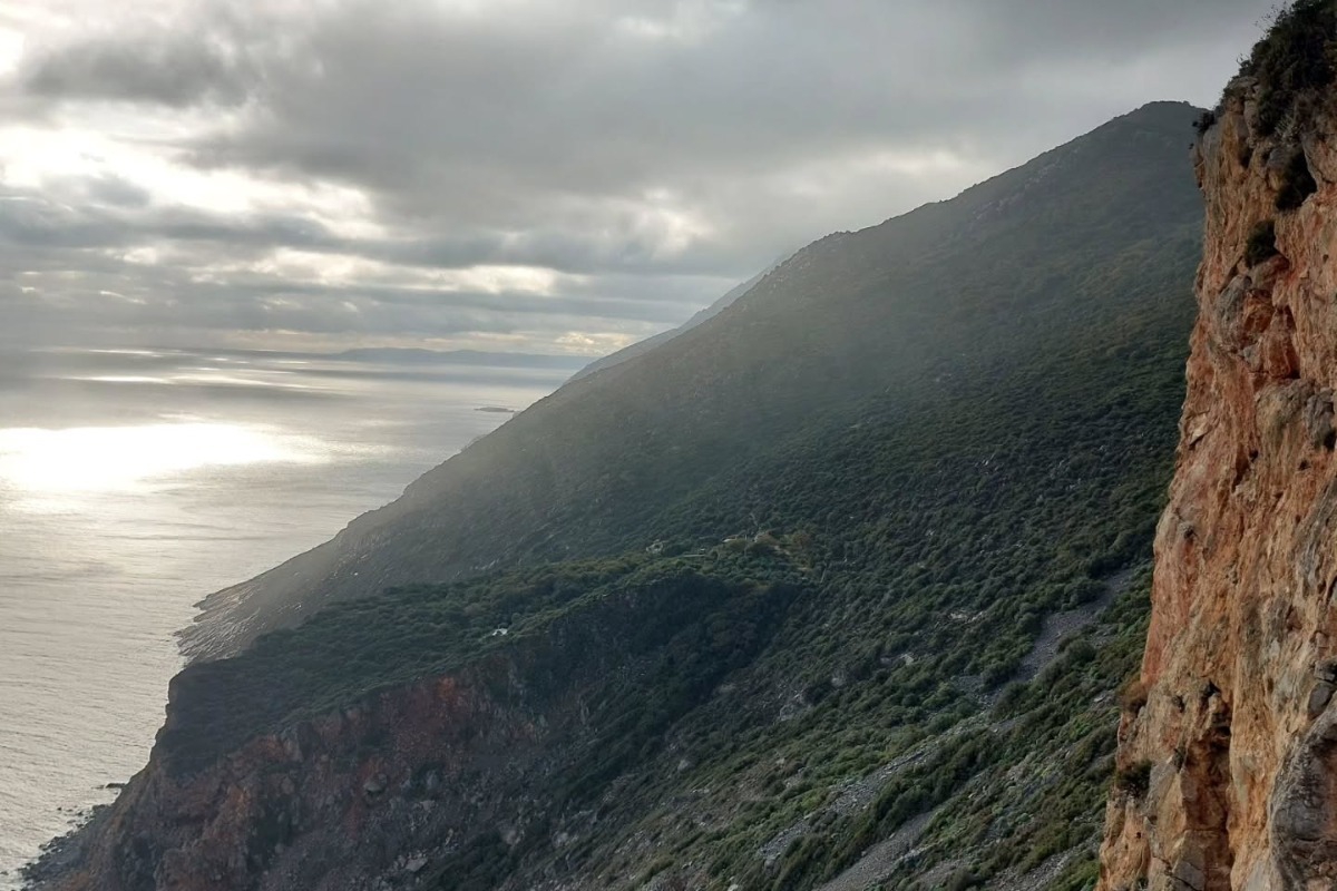 Έτρωγαν οχιές και ζούσαν περισσότερο; Το παράξενο μυστικό του Αγίου Όρους