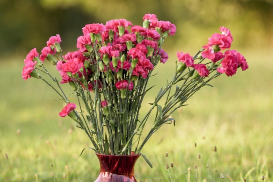 Τα ζώδια σήμερα 14/4: Μην ωραιοποιείς καταστάσεις