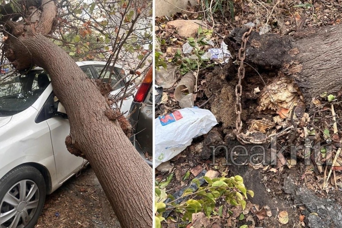 Ηράκλειο: Δέντρα καταπλάκωσαν πέντε αυτοκίνητα στον Μασταμπά λόγω θυελλωδών ανέμων - Από την πτώση των δέντρων προκλήθηκαν σοβαρές υλικές ζημιές στα οχήματα ενώ από τύχη δεν σημειώθηκε κάποιος τραυματισμός