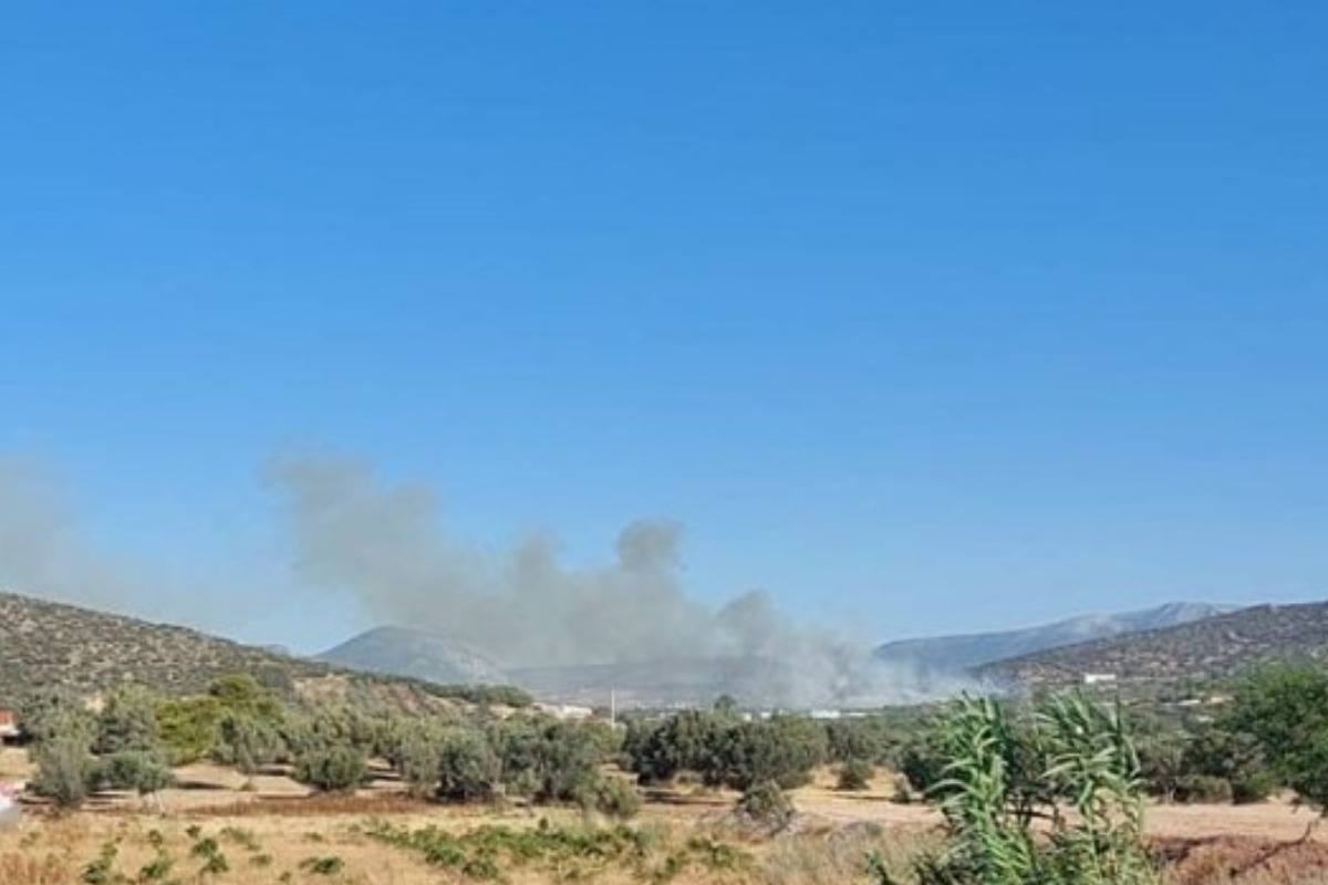 Φωτιά στα Καλύβια - Μεγάλη κινητοποίηση της Πυροσβεστικής - Οι δυνάμεις της Πυροσβεστικής περιόρισαν άμεσα τη φωτιά