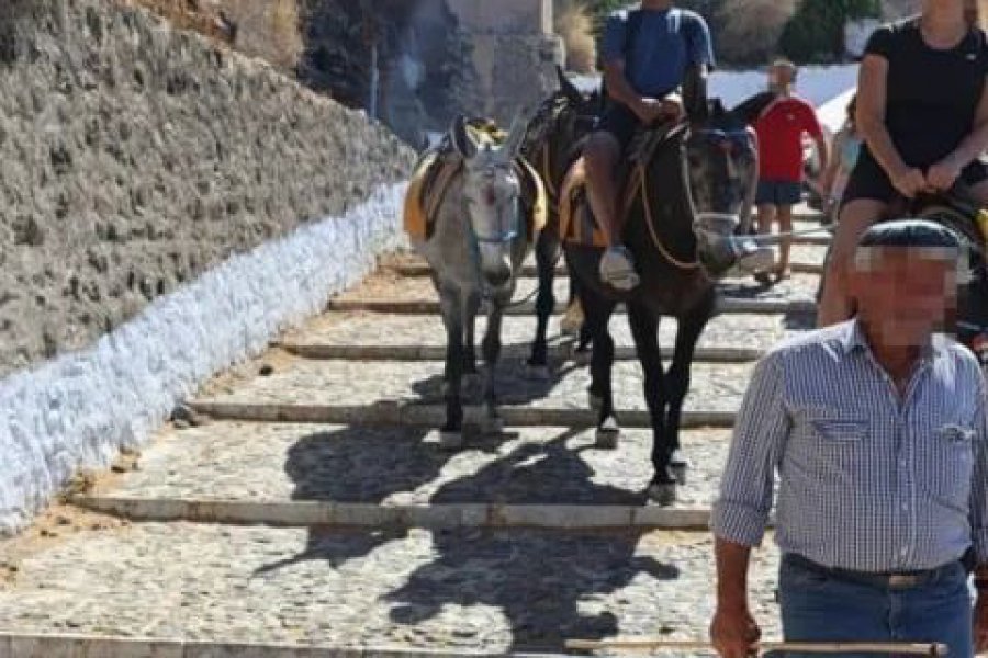 Αγριότητες στη Σαντορίνη: Επιτέθηκαν σε ακτιβίστριες που διαμαρτύρονταν για τα γαϊδουράκια