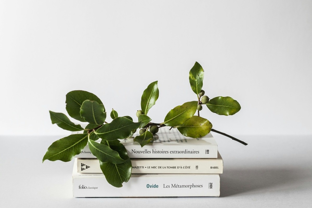 Η μεγάλη επιστροφή του βιβλίου - Γιατί οι πωλήσεις στην Ελλάδα εκτοξεύονται