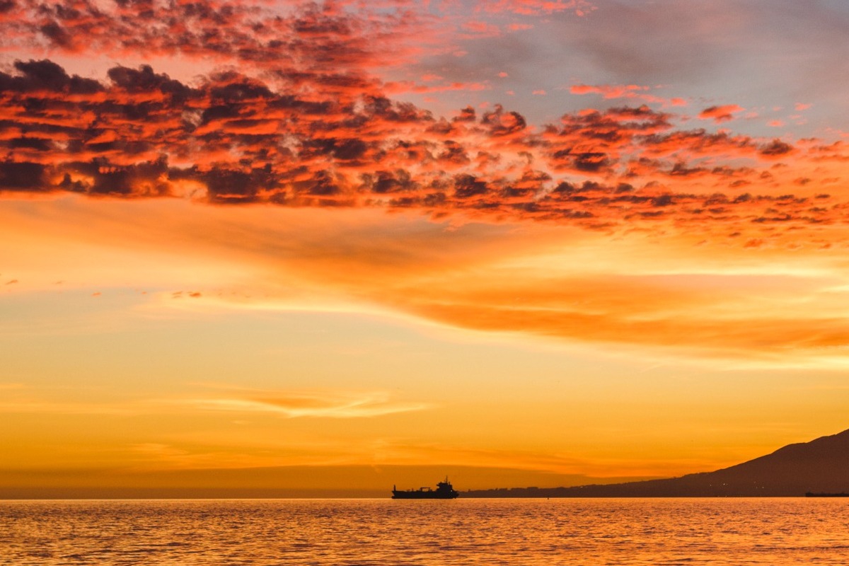 Τα ζώδια σήμερα 16/1: Η σημερινή μέρα κρύβει μικρές αλήθειες που αλλάζουν τα πάντα