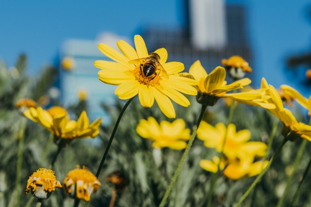 Τα ζώδια σήμερα 8/3: Οι απαντήσεις κρύβονται συχνά σε απλά πράγματα
