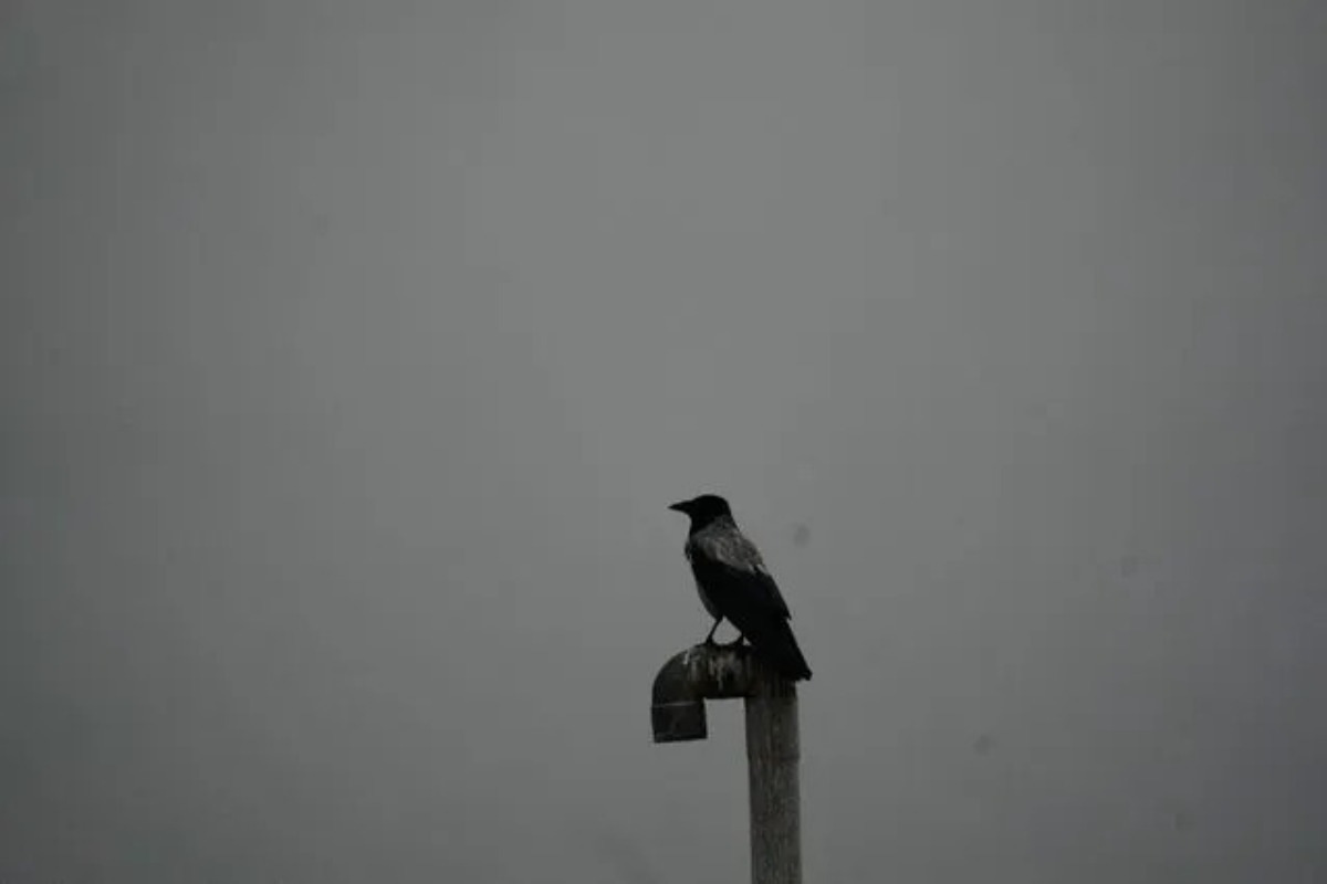 Ο ΠΟΥ προειδοποιεί για τη «μαύρη βροχή» στο Ιράν μετά τα πλήγματα σε διυλιστήρια